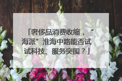 奢侈品消费收缩，“海派”淮海中路能否试试科技、服务突围？