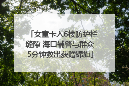 女童卡入6楼防护栏缝隙 海口辅警与群众5分钟救出获赠锦旗