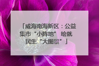 威海南海新区：公益集市“小阵地” 绘就民生“大图景”