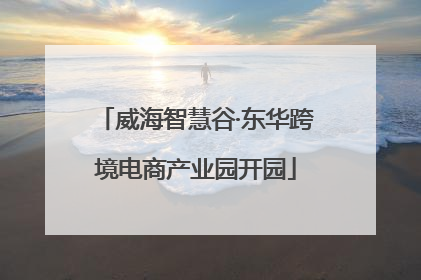 威海智慧谷·东华跨境电商产业园开园