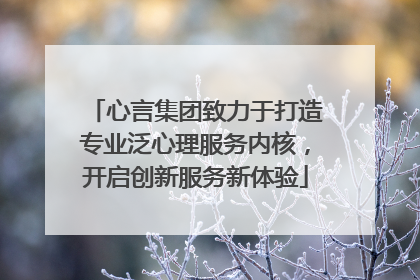 心言集团致力于打造专业泛心理服务内核，开启创新服务新体验