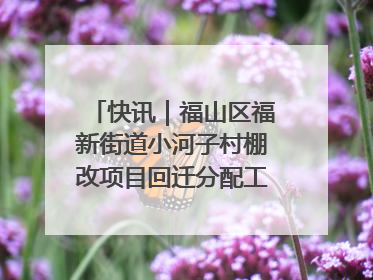 快讯｜福山区福新街道小河子村棚改项目回迁分配工作顺利完成