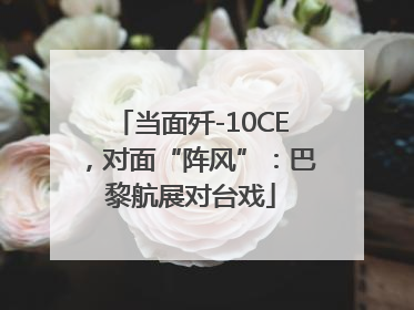 当面歼-10CE，对面“阵风”：巴黎航展对台戏