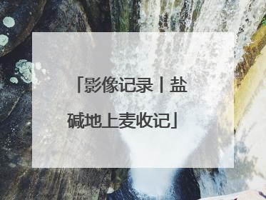 影像记录丨盐碱地上麦收记