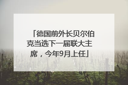 德国前外长贝尔伯克当选下一届联大主席，今年9月上任