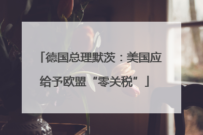 德国总理默茨：美国应给予欧盟“零关税”