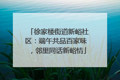徐家楼街道新峪社区：端午共品百家味，邻里同话新峪情