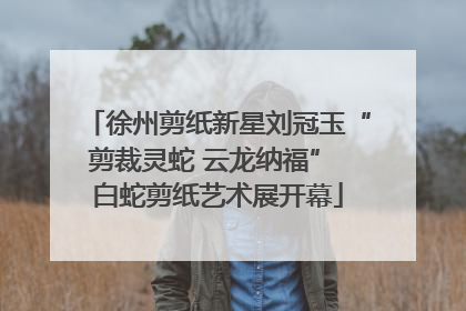 徐州剪纸新星刘冠玉“剪裁灵蛇 云龙纳福” 白蛇剪纸艺术展开幕