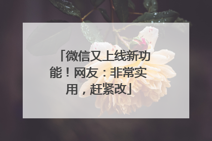 微信又上线新功能！网友：非常实用，赶紧改