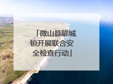 微山县驩城镇开展联合安全检查行动