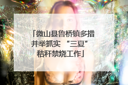 微山县鲁桥镇多措并举抓实 “三夏” 秸秆禁烧工作