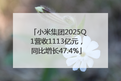 小米集团2025Q1营收1113亿元，同比增长47.4%