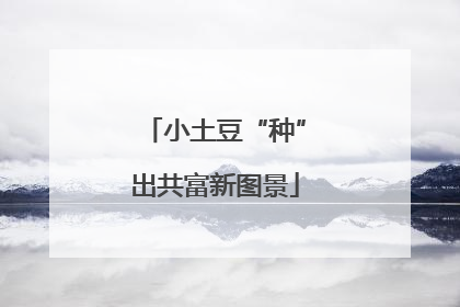 小土豆“种”出共富新图景