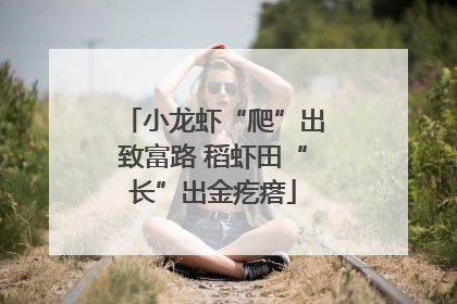 小龙虾“爬”出致富路 稻虾田“长”出金疙瘩