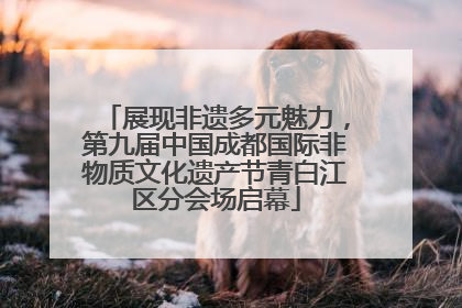 展现非遗多元魅力，第九届中国成都国际非物质文化遗产节青白江区分会场启幕