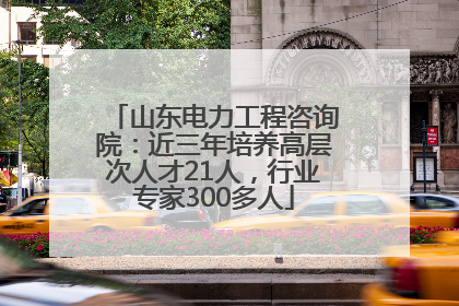 山东电力工程咨询院：近三年培养高层次人才21人，行业专家300多人