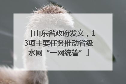 山东省政府发文，13项主要任务推动省级水网“一网统管”