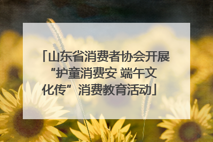 山东省消费者协会开展 “护童消费安 端午文化传”消费教育活动