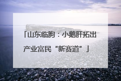 山东临朐：小鹅肝拓出产业富民“新赛道”