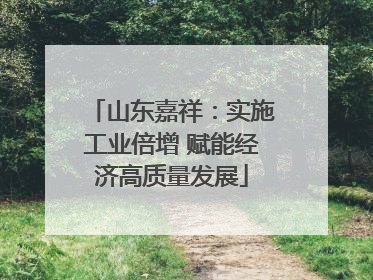 山东嘉祥：实施工业倍增 赋能经济高质量发展