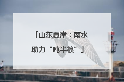 山东夏津：南水助力“吨半粮”