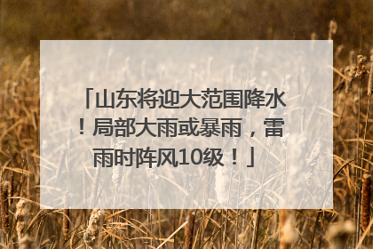 山东将迎大范围降水！局部大雨或暴雨，雷雨时阵风10级！