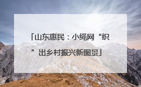 山东惠民：小绳网“织”出乡村振兴新图景