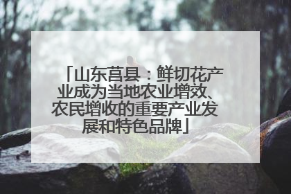 山东莒县：鲜切花产业成为当地农业增效、农民增收的重要产业发展和特色品牌