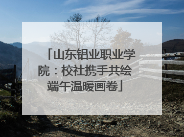 山东铝业职业学院：校社携手共绘端午温暖画卷