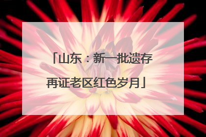 山东：新一批遗存再证老区红色岁月