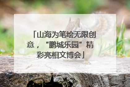 山海为笔绘无限创意，“鹏城乐园”精彩亮相文博会