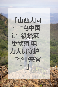 山西大同：“鸟中国宝”铁塔筑巢繁殖 电力人员守护“空中来客”