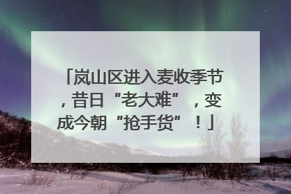 岚山区进入麦收季节，昔日“老大难”，变成今朝“抢手货”！