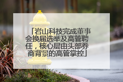 岩山科技完成董事会换届选举及高管聘任，核心层由头部券商背景的高管掌控