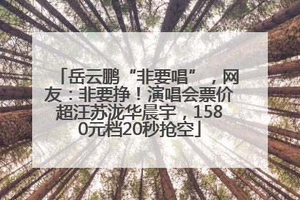 岳云鹏“非要唱”，网友：非要挣！演唱会票价超汪苏泷华晨宇，1580元档20秒抢空