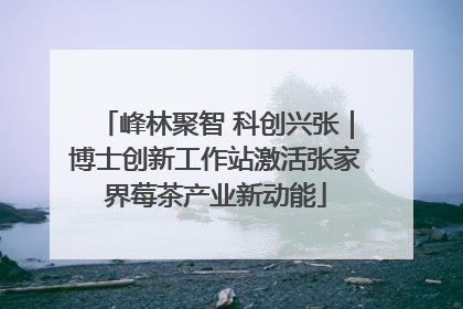 峰林聚智 科创兴张｜博士创新工作站激活张家界莓茶产业新动能