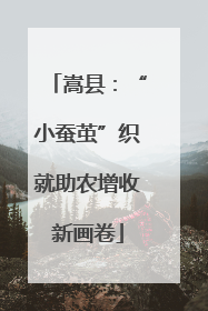 嵩县：“小蚕茧”织就助农增收新画卷