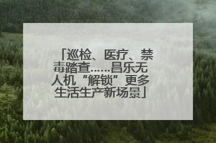 巡检、医疗、禁毒踏查……昌乐无人机“解锁”更多生活生产新场景