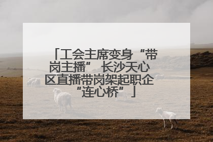 工会主席变身“带岗主播” 长沙天心区直播带岗架起职企“连心桥”
