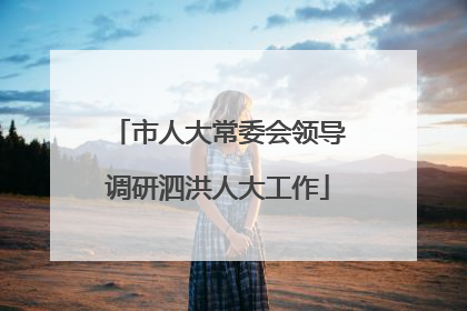 市人大常委会领导调研泗洪人大工作