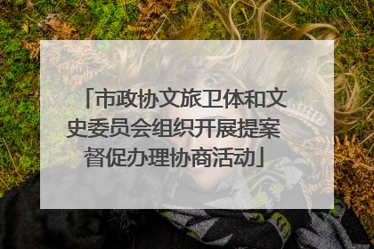 市政协文旅卫体和文史委员会组织开展提案督促办理协商活动