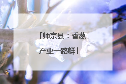 师宗县：香葱产业一路鲜