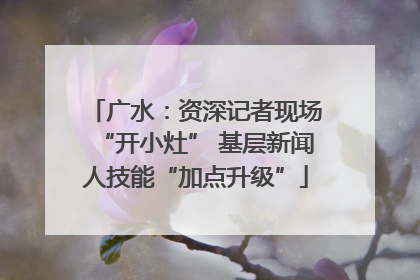 广水：资深记者现场“开小灶” 基层新闻人技能“加点升级”