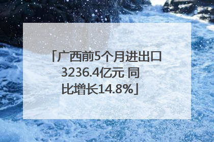 广西前5个月进出口3236.4亿元 同比增长14.8%