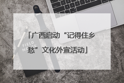 广西启动“记得住乡愁”文化外宣活动