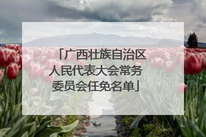 广西壮族自治区人民代表大会常务委员会任免名单