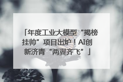 年度工业大模型“揭榜挂帅”项目出炉！AI创新济青“两翼齐飞”