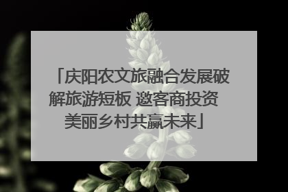 庆阳农文旅融合发展破解旅游短板 邀客商投资美丽乡村共赢未来