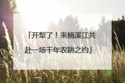 开犁了！来楠溪江共赴一场千年农耕之约
