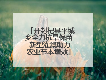 开封杞县平城乡全力抗旱保苗 新型灌溉助力农业节本增效